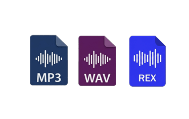 Audio Formats Available